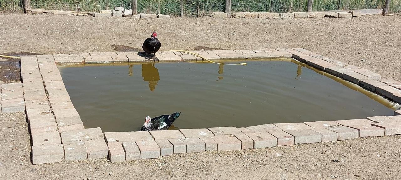 Villa Klinai Cerveteri Dış mekan fotoğraf