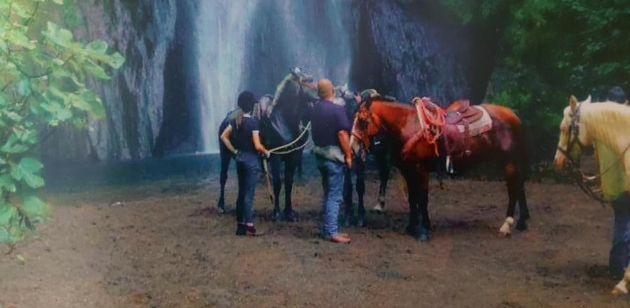 Villa Klinai Cerveteri Dış mekan fotoğraf