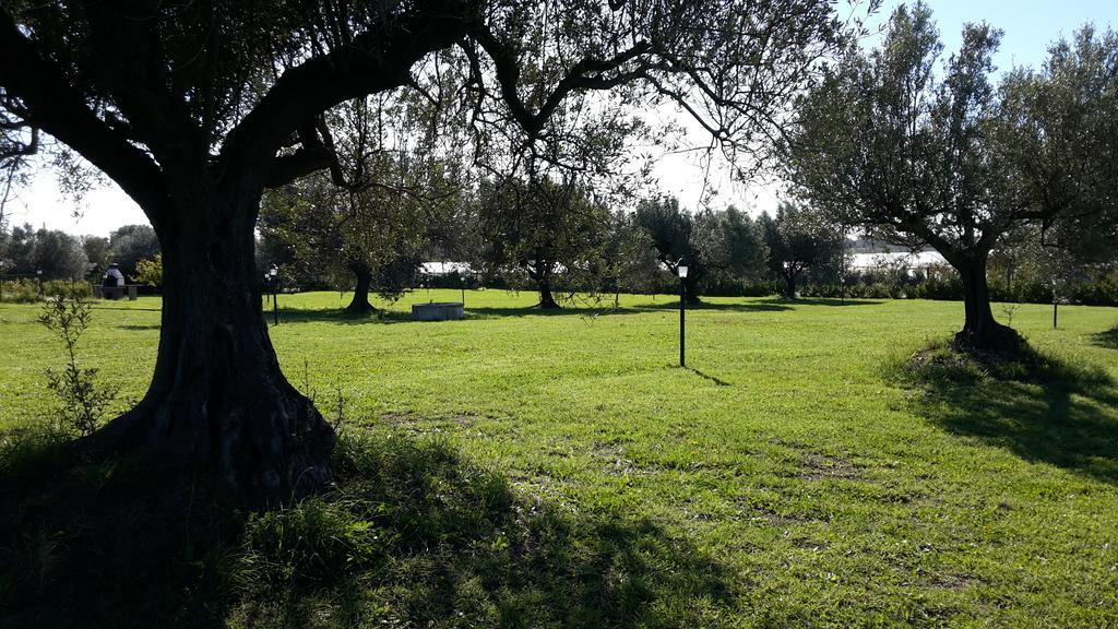 Villa Klinai Cerveteri Dış mekan fotoğraf